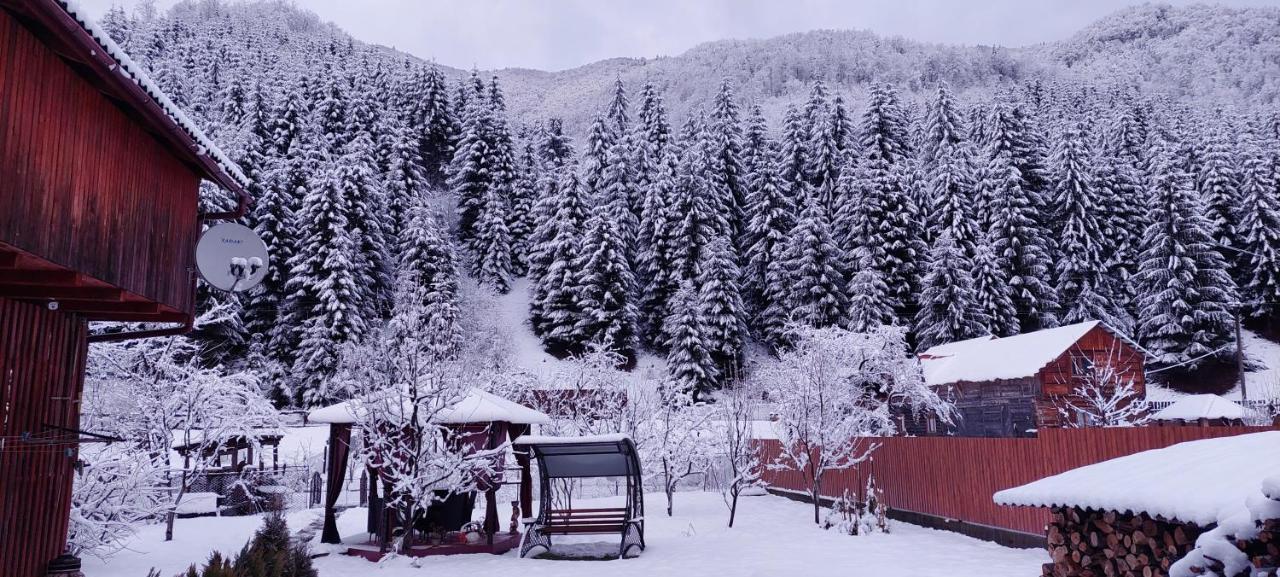 Садиба Квітка Карпат Ruska Mokra Экстерьер фото